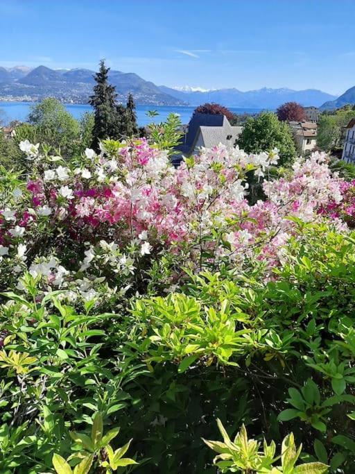 La Finestra Sul Lago - In Villa Con Vista E Posto Auto Coperto Стреза Екстериор снимка